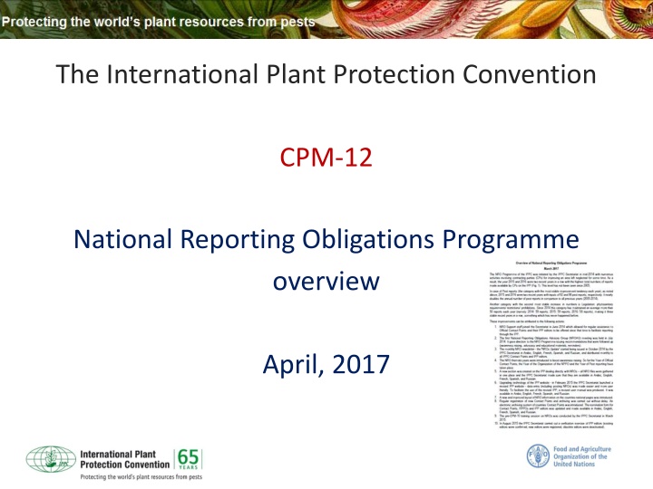 International Plant Protection Convention Reporting Programme Overview