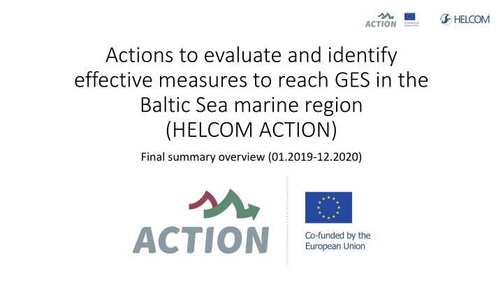 Effective Measures for GES in the Baltic Sea Marine Region