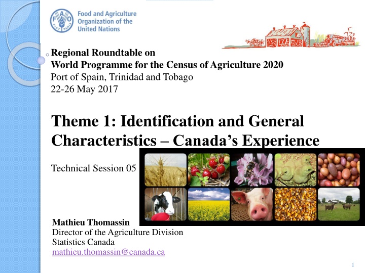 Theme 1: Identification and General Characteristics -Canada's Experience