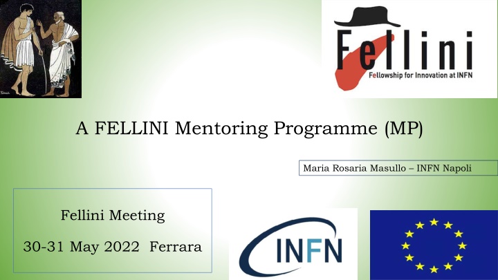 FELLINI Mentoring Programme Overview