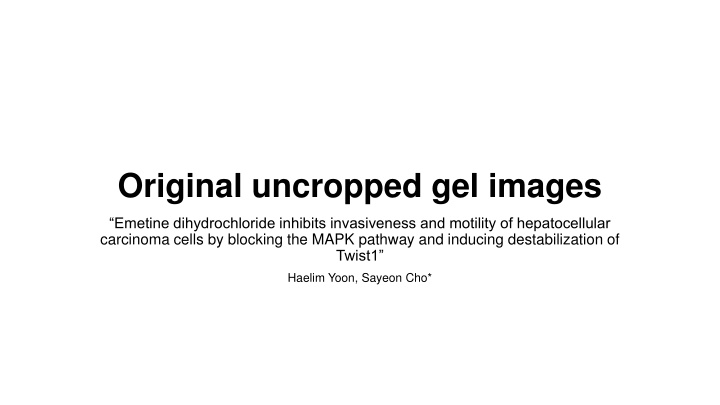 Original uncropped gel images