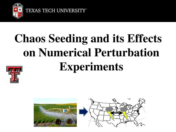 Chaos Seeding and its Effects