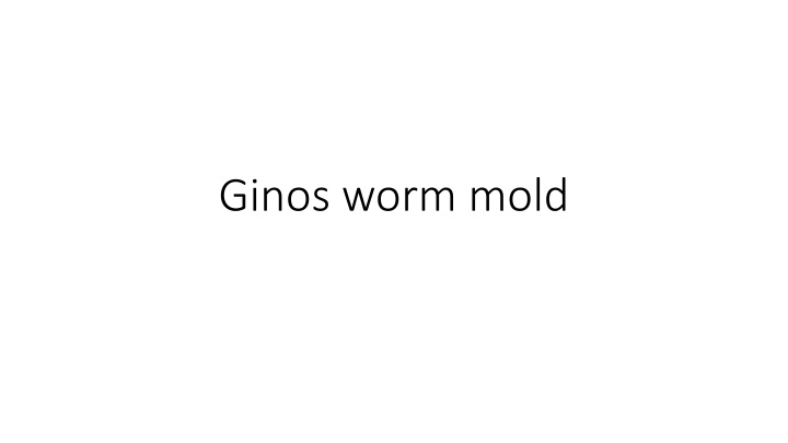 Ginos worm mold