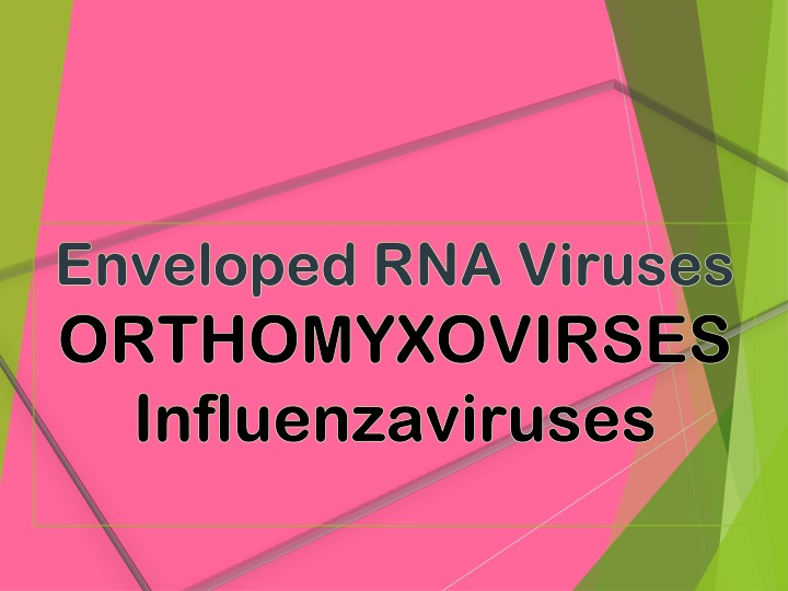 Orthomyxoviruses: Influenza Virus Overview