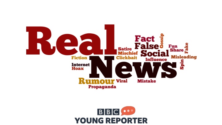 Trust Exercise: Evaluating Sources for Reliable Information