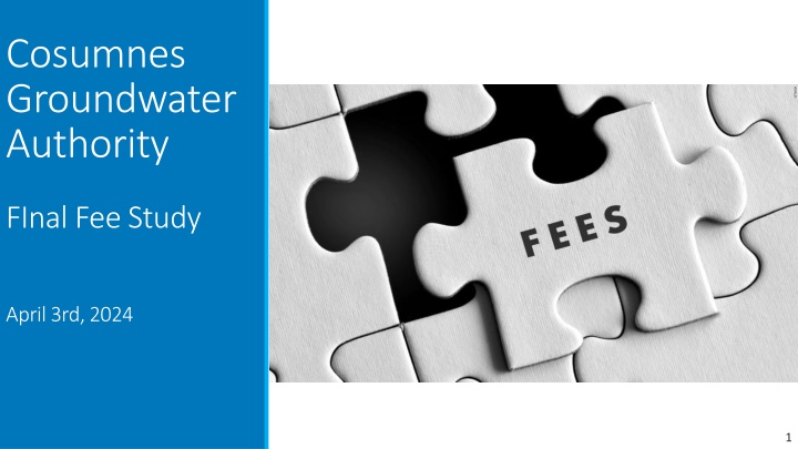 Cosumnes Groundwater Authority Final Fee Study