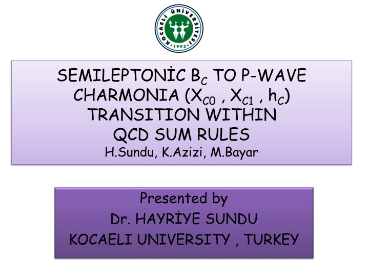 Study of Bc Meson Decay Channels and Spectroscopy