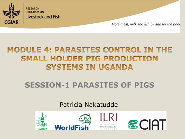 Parasite Control in Smallholder Pig Production Systems