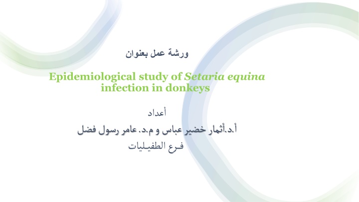 Epidemiological Study of Setaria equina Infection in Donkeys