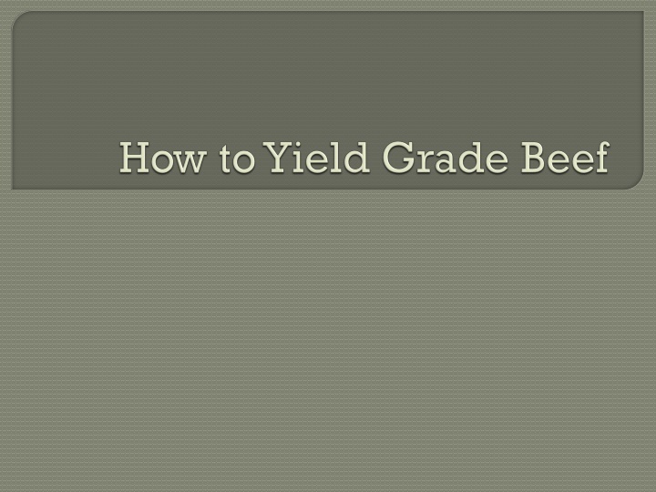 USDA Yield Grades in Beef