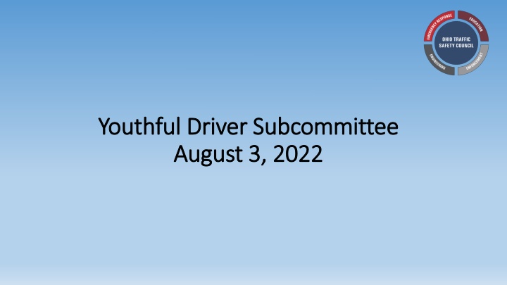 Youthful Driver Subcommittee Updates