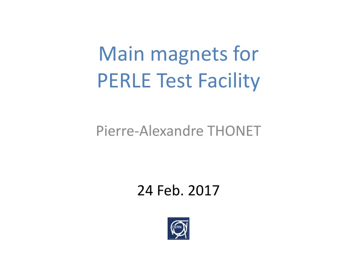Main Magnets for PERLE Test Facility Overview