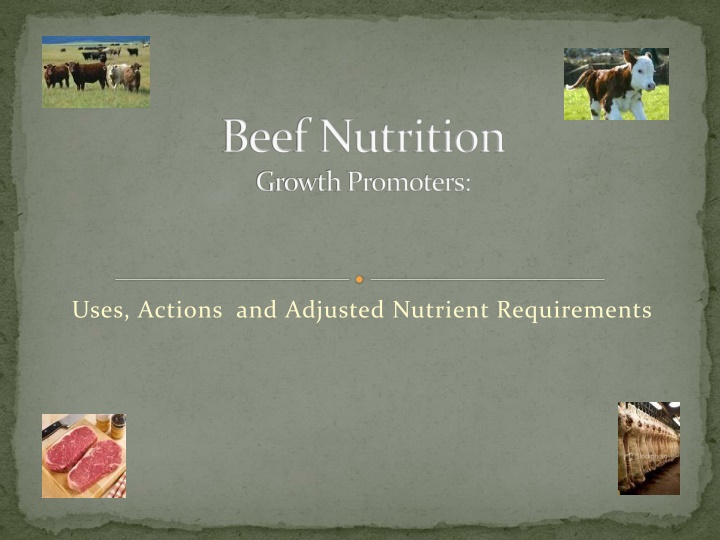 Beef Nutrition and Growth Promoters: Achieving Optimal Growth
