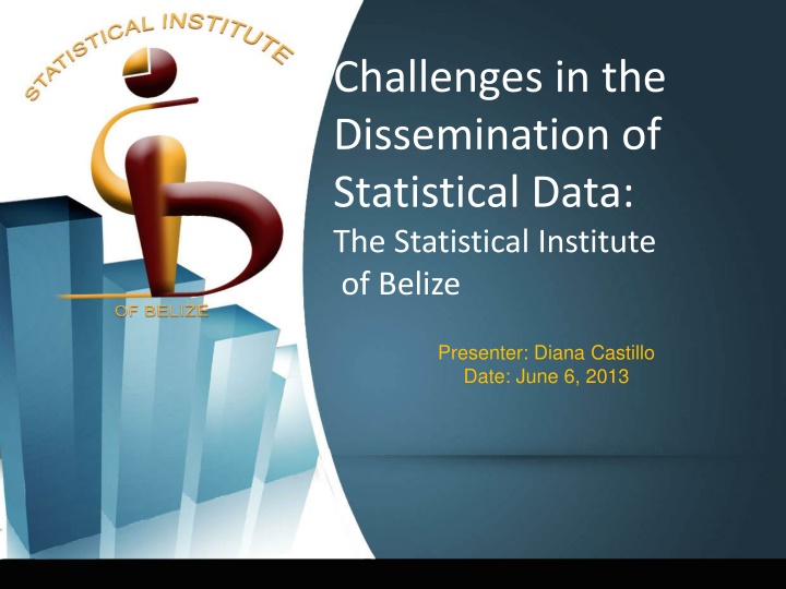 Challenges in Dissemination of Statistical Data in Belize