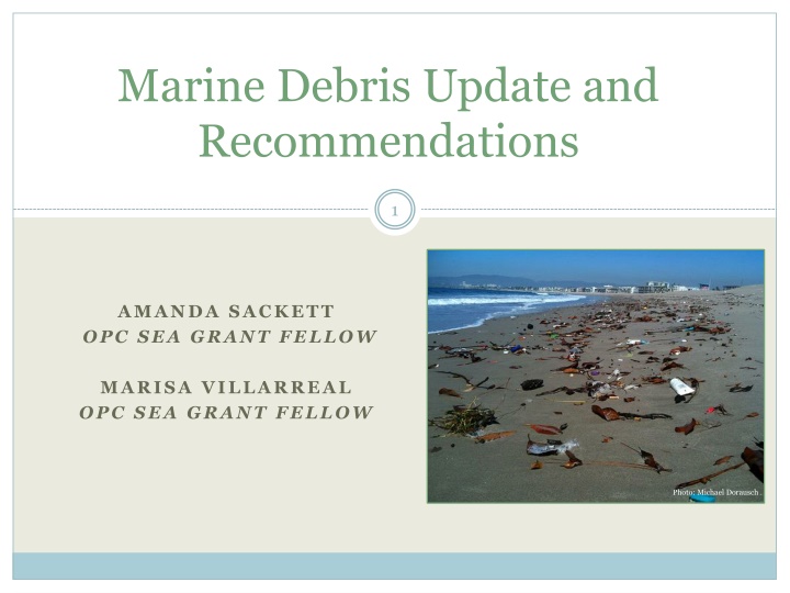 Marine Debris Update and Recommendations