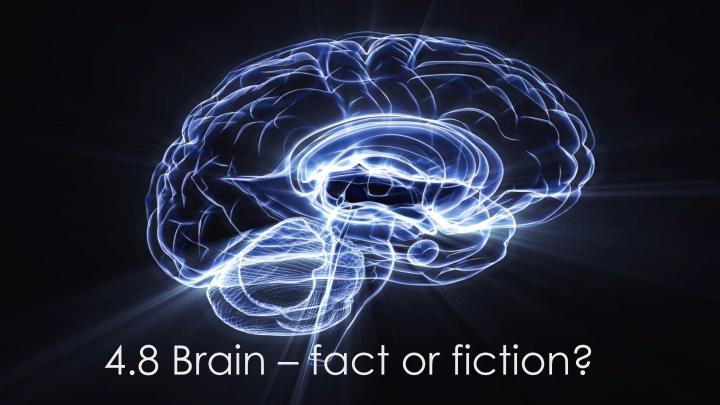 Brain Fact or Fiction: Debunking Myths