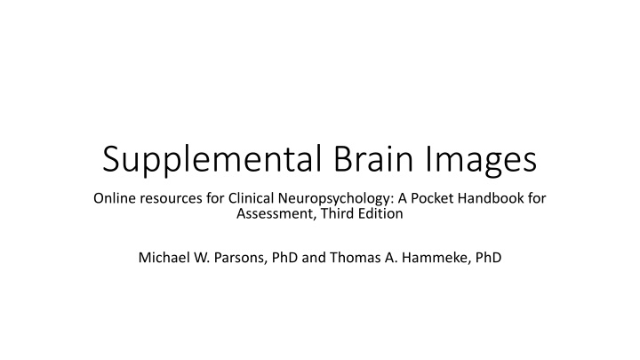 Supplemental Brain Images