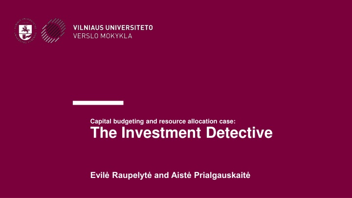 The Investment Detective