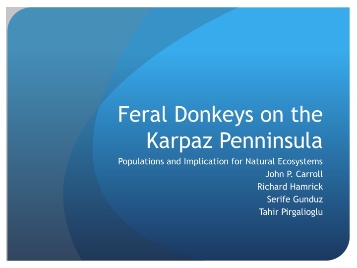 Feral Donkeys on the Karpaz Peninsula: Populations and Implications