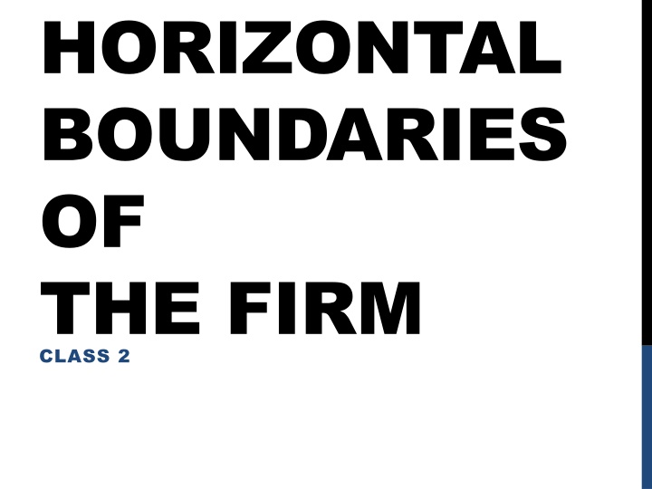 Horizontal Boundaries in Firm Economics