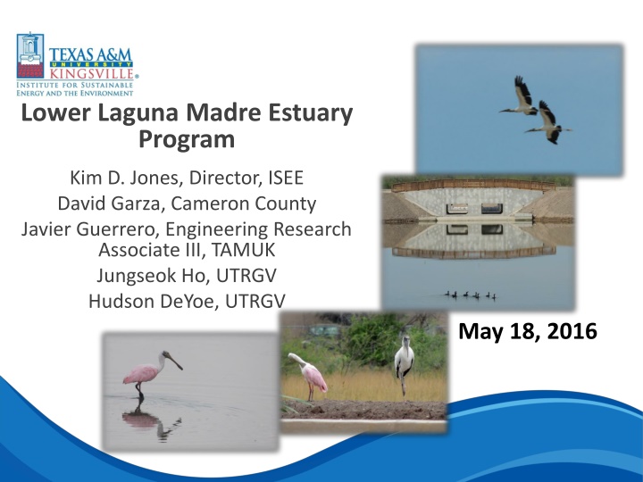 Lower Laguna Madre Estuary Program Overview