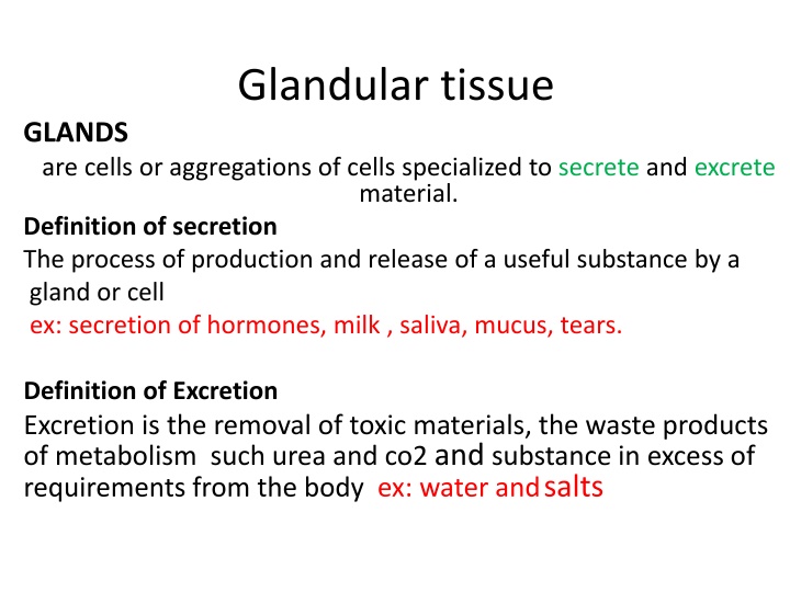 Glandular Tissue and Glands Classification