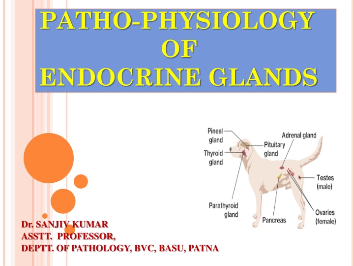 Patho-Physiology of Endocrine Glands