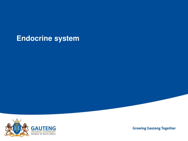 Endocrine system