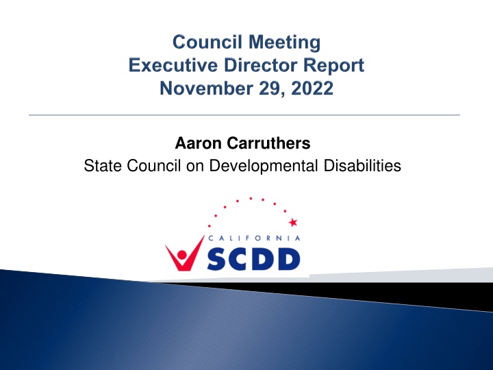 State Council on Developmental Disabilities Overview