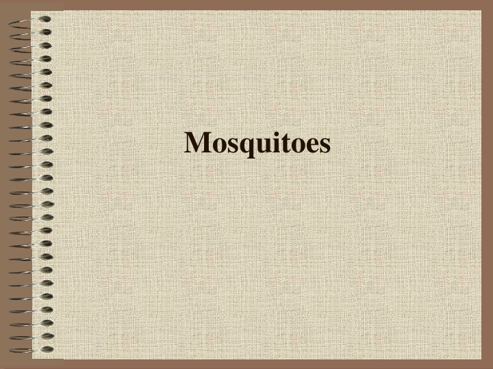 Mosquitoes