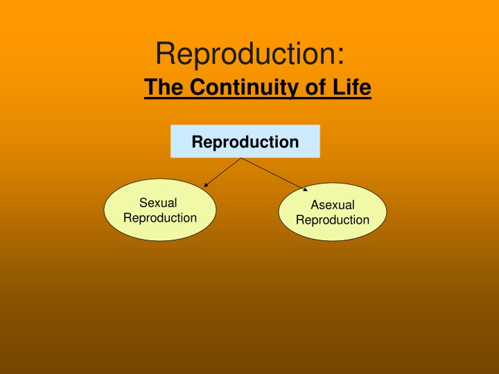 Reproduction: The Continuity of Life - Sexual and Asexual Reproduction