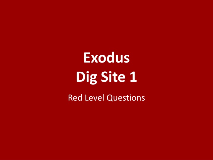 Exodus Dig Site 1 Red Level Study