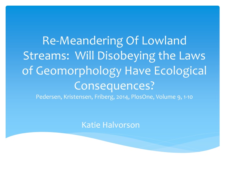 Ecological Consequences of Lowland Stream Meandering