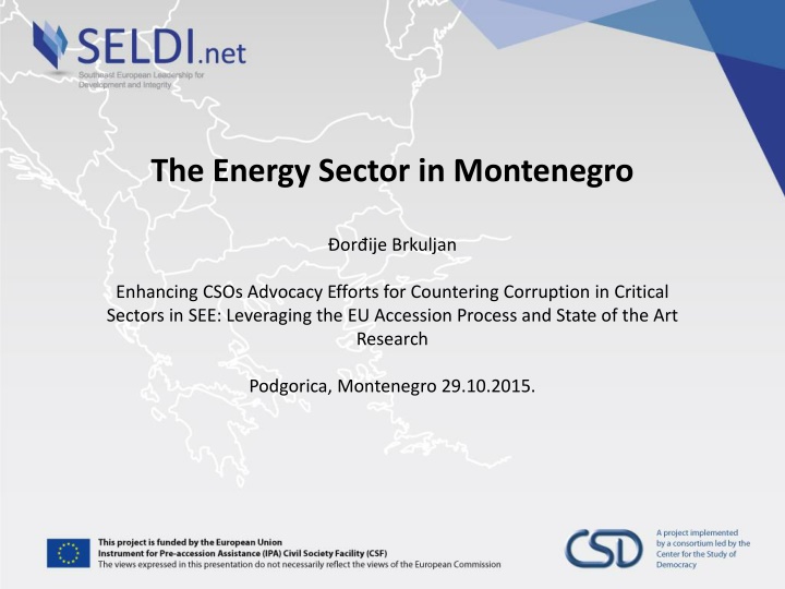 The Energy Sector in Montenegro