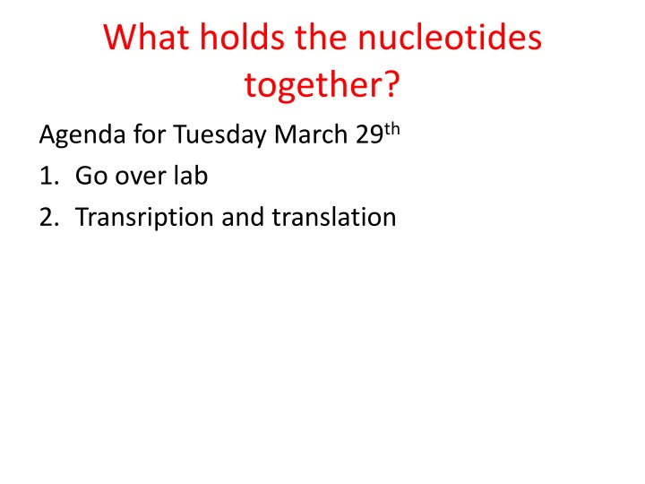 DNA Transcription and RNA Synthesis Overview