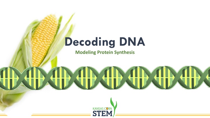 Decoding DNA