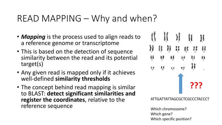 Read Mapping in Genomics