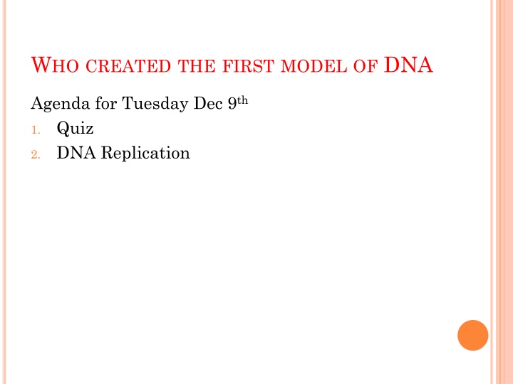 DNA Replication Process Overview