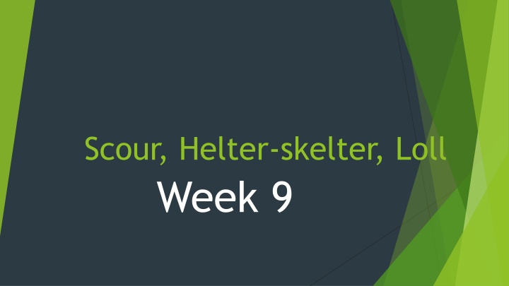 Scour, Helter-Skelter, Loll Week 9 - Cleaning Insights & Home Descriptions