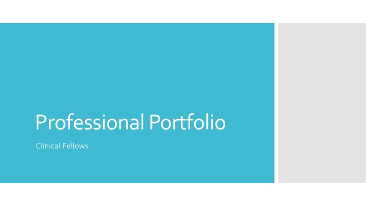 Professional Portfolio