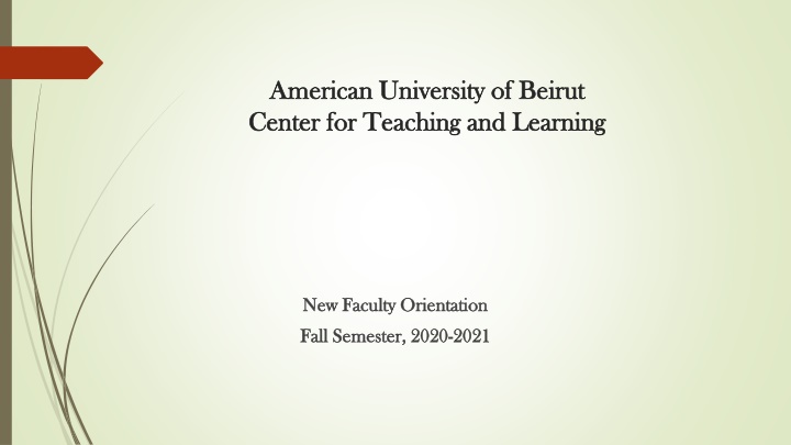 American University of Beirut Center for Teaching and Learning