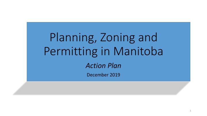 Planning, Zoning and Permitting Review Recommendations Action Plan