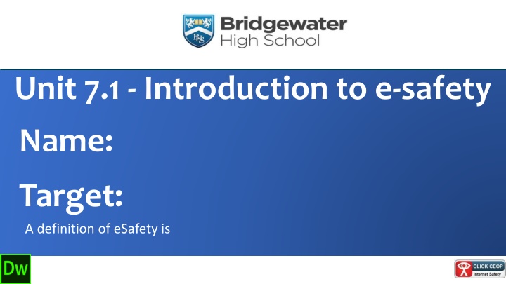 E-Safety Definition and Assessment Guidelines