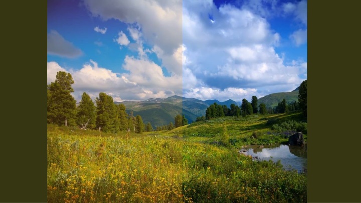 AI-Assisted Color Grading Yay or Nay
