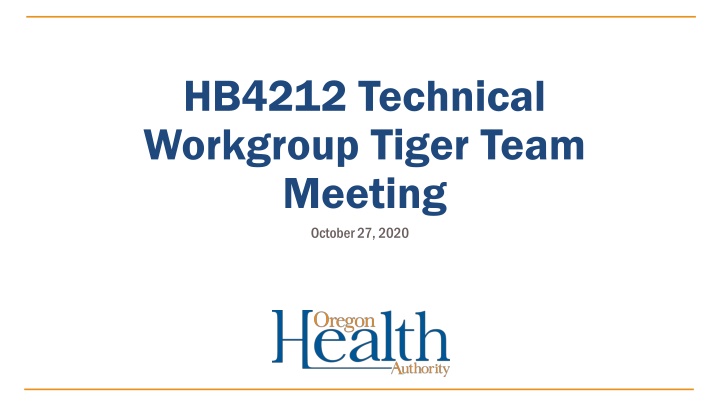 HB4212 Technical Workgroup Tiger Team Meeting Brief Summary