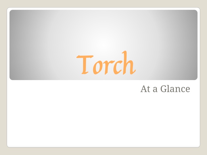 Torch Leadership and Service Overview