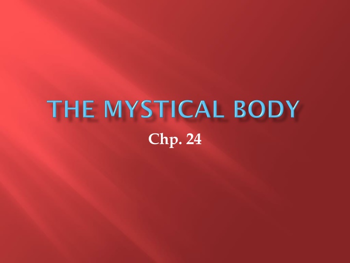 Mystical Body of Christ