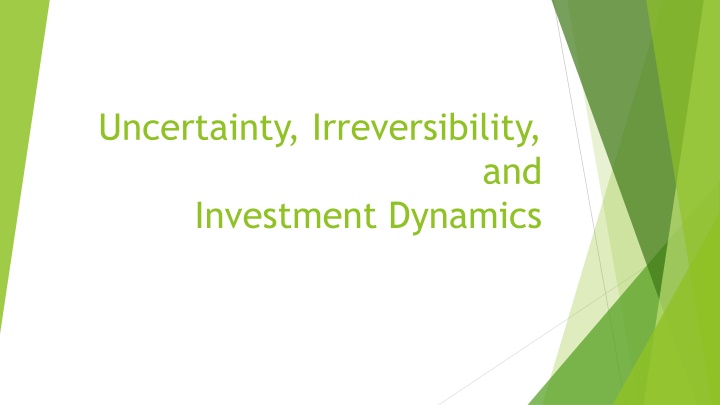 Investment Dynamics and Uncertainty in Business Cycles