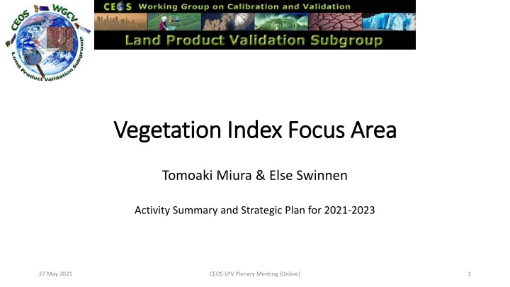 Vegetation Index Focus Area: Strategic Plan 2021-2023