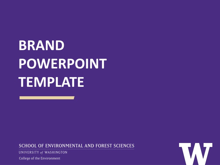 BRAND POWERPOINT TEMPLATE